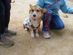 IMG_5566.jpg