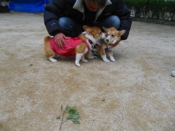 IMG_5573.jpg