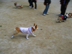 IMG_5589.jpg