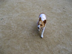 IMG_5594.jpg
