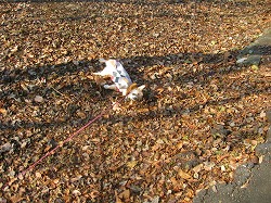 IMG_5645.jpg