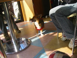 IMG_5652.jpg