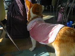 IMG_5653.jpg
