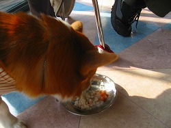 IMG_5661.jpg