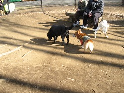 IMG_5675.jpg
