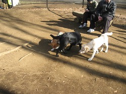 IMG_5676.jpg