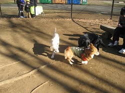IMG_5677.jpg