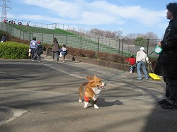 IMG_5688.jpg