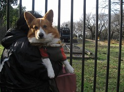 IMG_5699.jpg