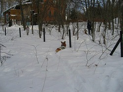 IMG_5842.jpg