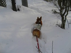 IMG_5843.jpg