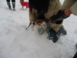 IMG_5846.jpg