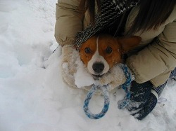 IMG_5847.jpg
