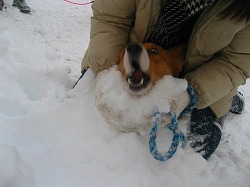 IMG_5848.jpg