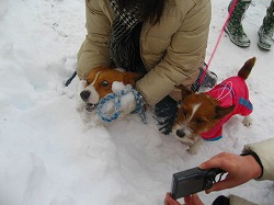 IMG_5851.jpg