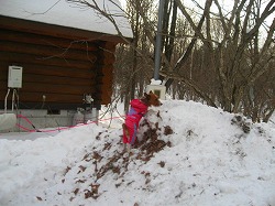 IMG_5854.jpg