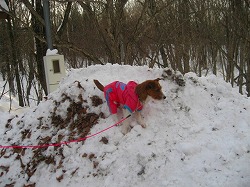IMG_5855.jpg