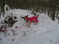 IMG_5857.jpg