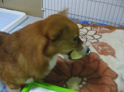 IMG_6317.jpg