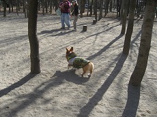 IMG_6601.jpg