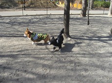 IMG_6614.jpg