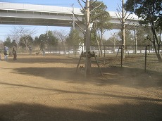 IMG_6671.jpg