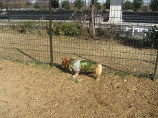 IMG_6626.jpg