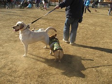 IMG_6630.jpg