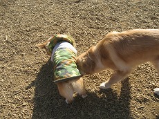 IMG_6636.jpg