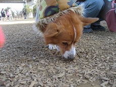 IMG_6676.jpg