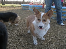 IMG_6679.jpg