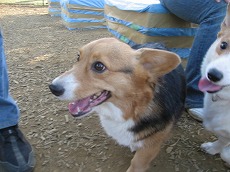 IMG_6684.jpg