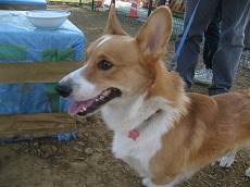 IMG_6690.jpg