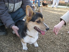 IMG_6701.jpg