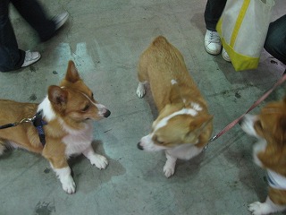 IMG_9348.jpg