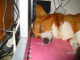 IMG_9234.jpg