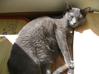 IMG_2358.jpg