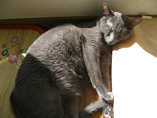 IMG_2359.jpg