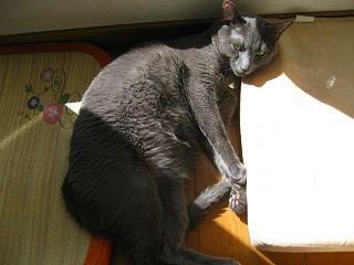 IMG_2361.jpg