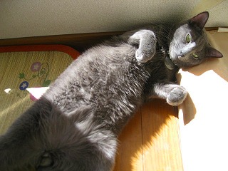 IMG_2365.jpg
