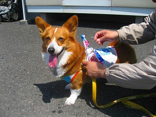 IMG_9512.jpg
