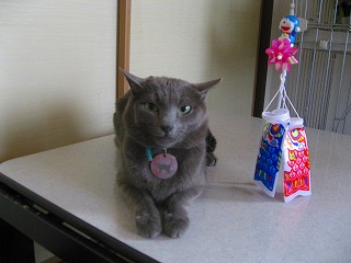 IMG_9770.jpg