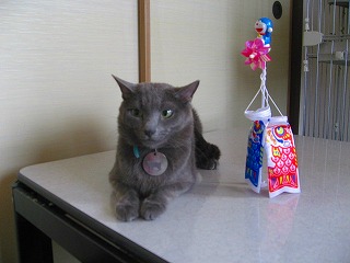 IMG_9774.jpg