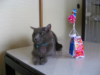 IMG_9775.jpg