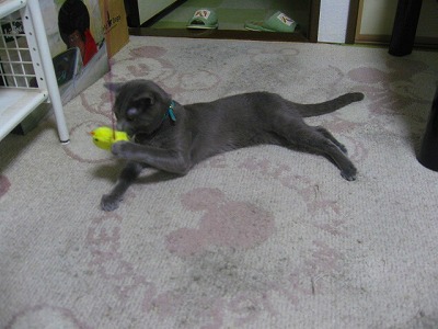 IMG_0966.jpg
