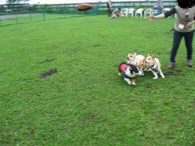 IMG_0329.jpg