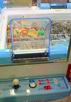 NEC_0108.jpg