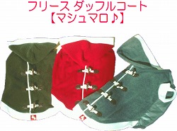 img10054028748.jpg