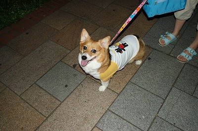 DSC00076.jpg