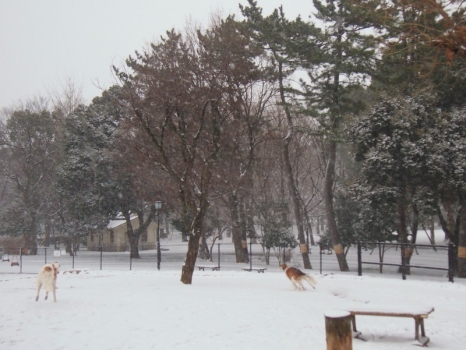 P2086913.jpg